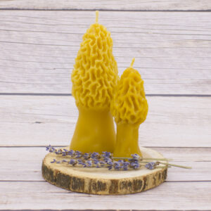 morel mushroom beeswax candle floida pure and natural