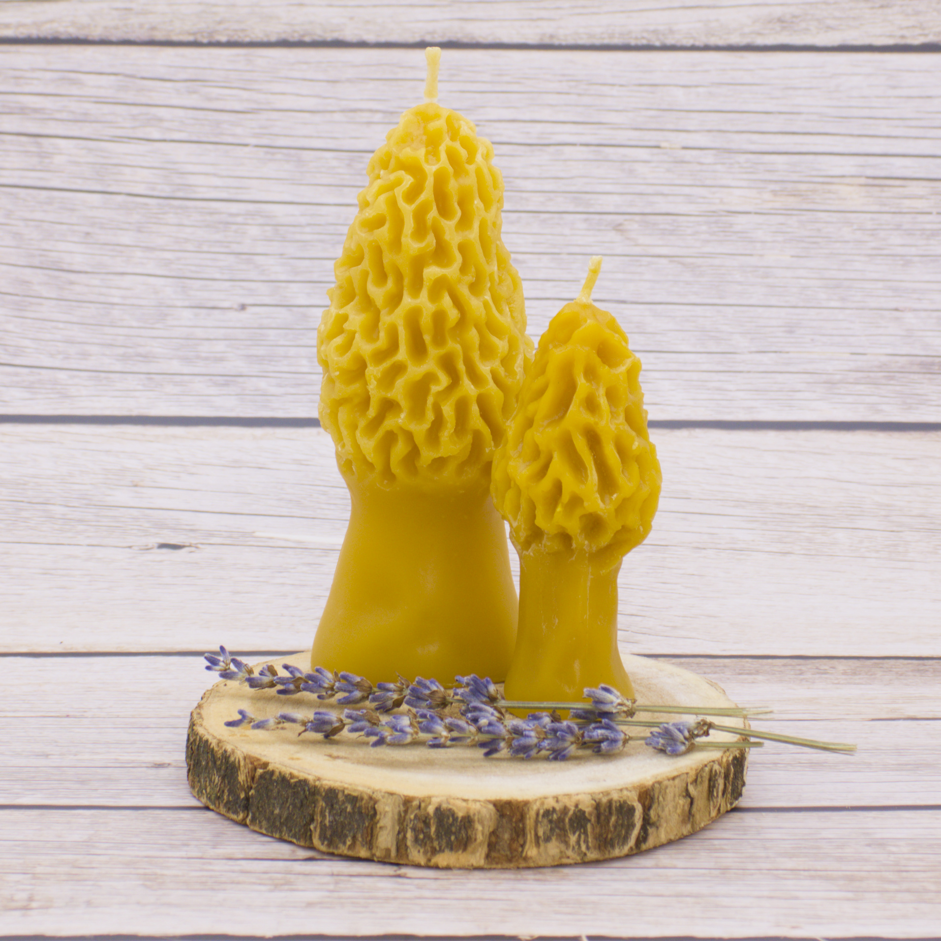 morel mushroom beeswax candle Abstract Beezzz morel mushroom beeswax candle floida pure and natural