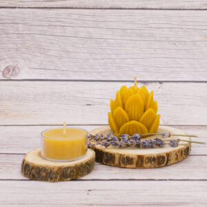 lotus beeswax candle florida pure and natural