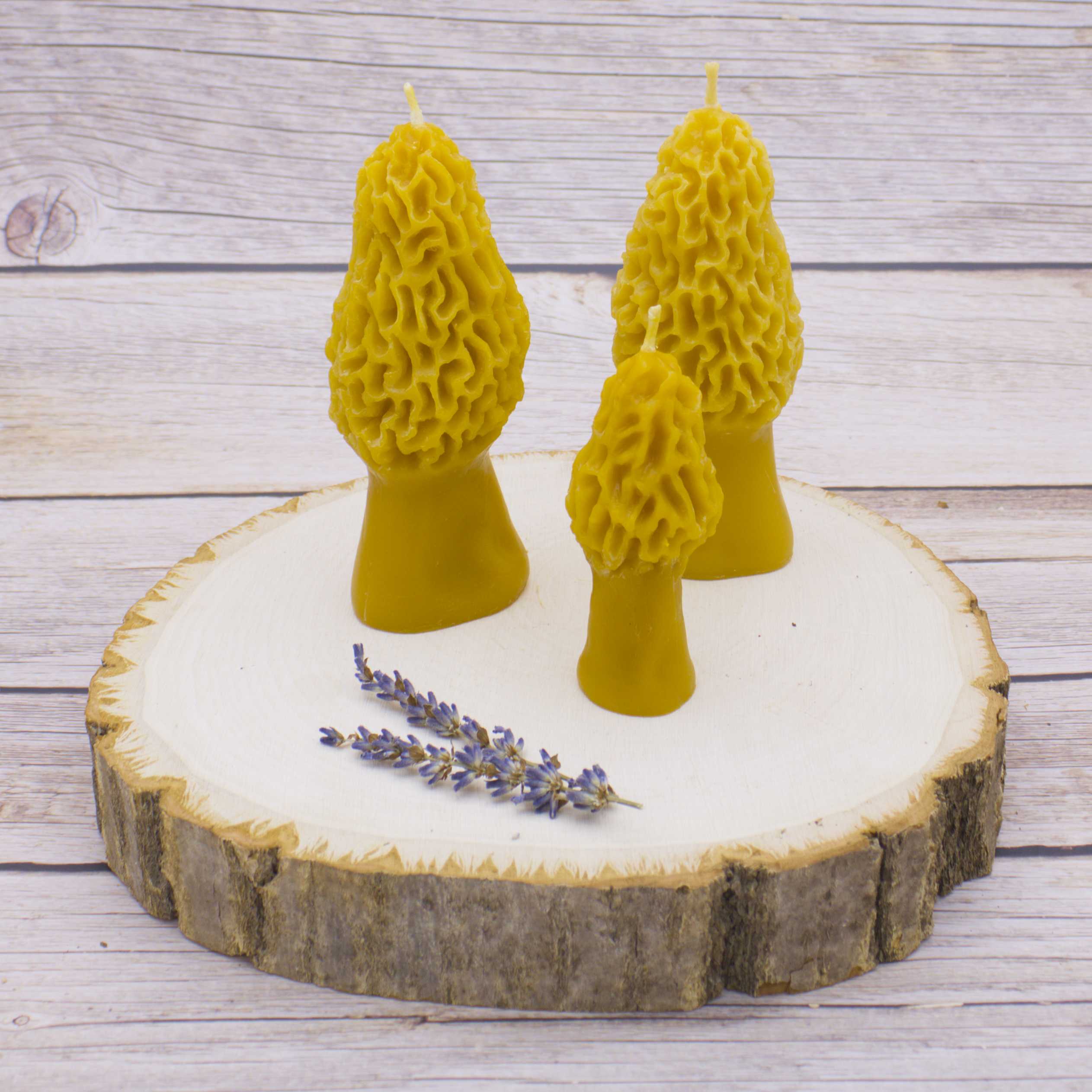 morel mushroom beeswax candles Abstract Beezzz morel mushroom beeswax candles