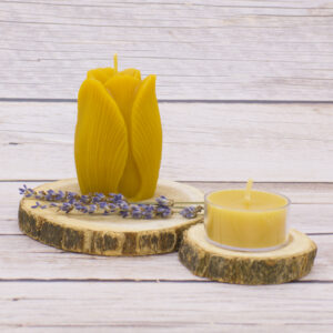 muth jar beeswax candle florida pure and natural