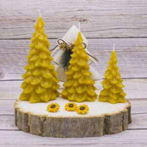 Seasonal Beeswax Candles