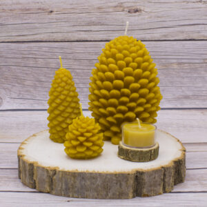 pine cone beeswax candle florida