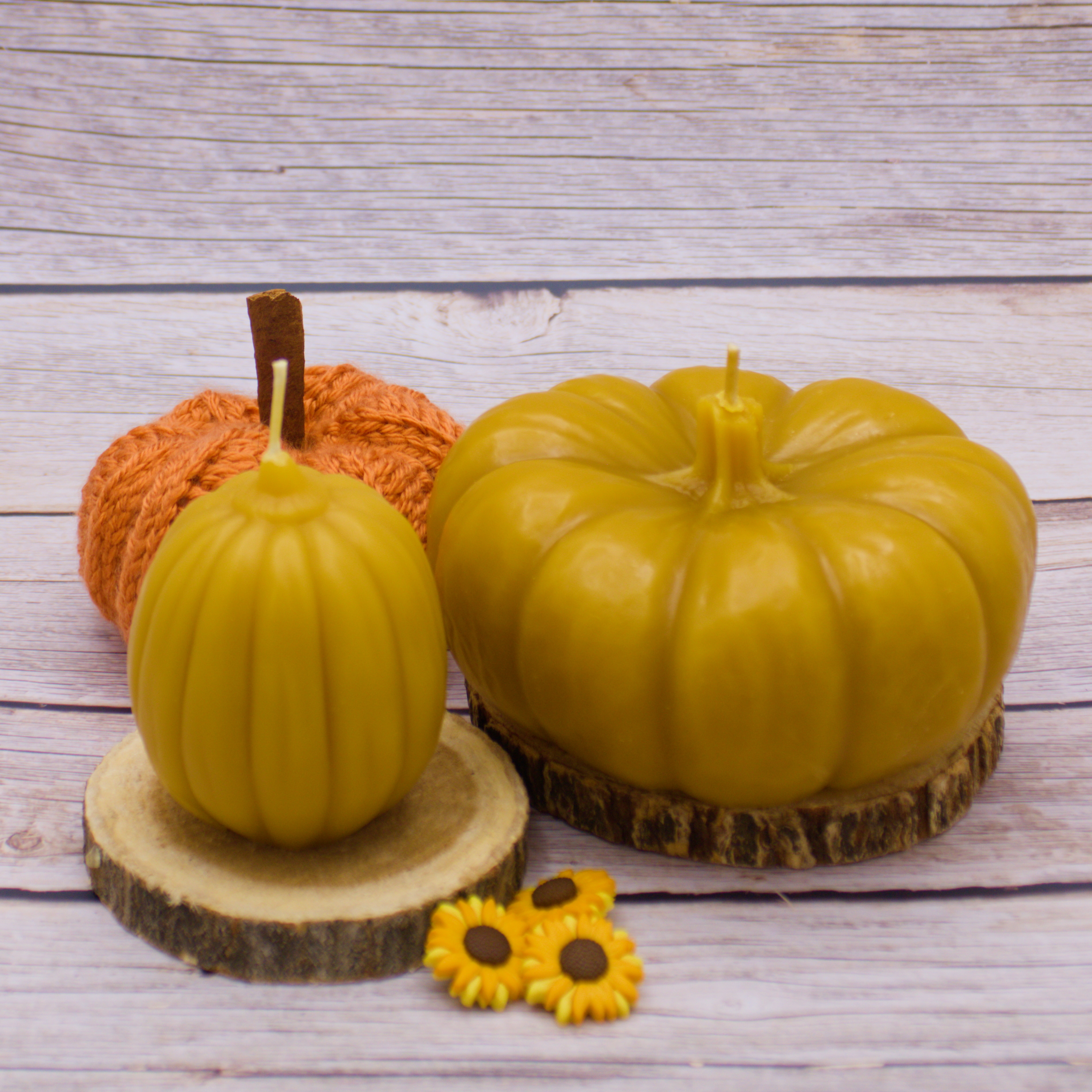 pumkin beeswaxcandle Abstract Beezzz pumkin beeswaxcandle pure & natural florida