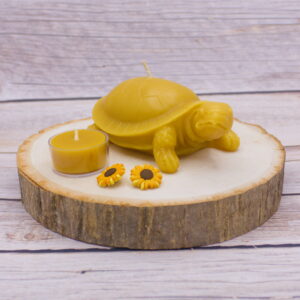 turtle beeswax candle Florida pure & natural